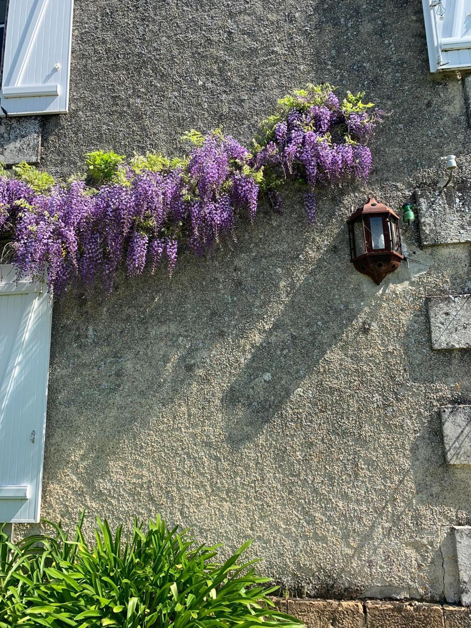 No5 Chambre D'Hotes Courcome ภายนอก รูปภาพ